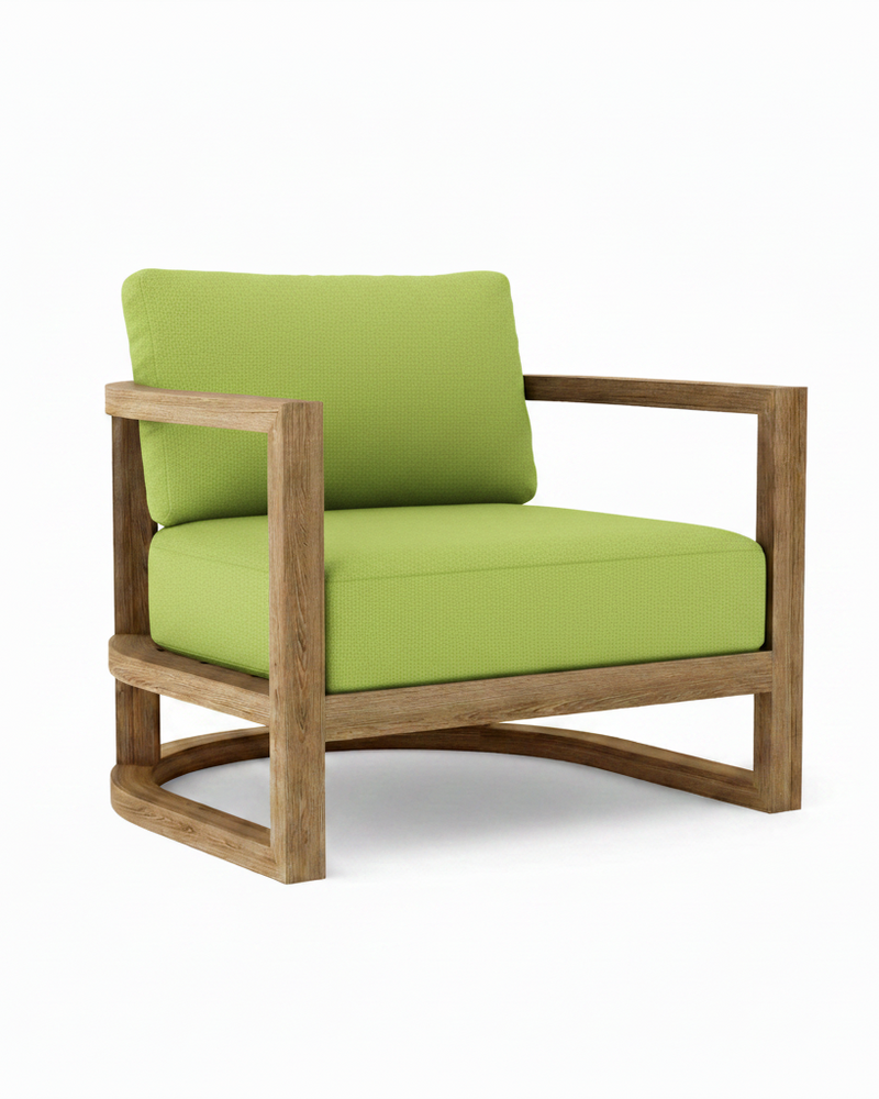 Junus teak armchair with macaw cushion on white background.  