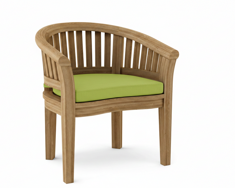 Anderson teak curved dining armchair with macaw cushion on white background.  